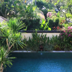 Отель The Pavilions Bali 4* Вилла с различными типами кроватей фото 3