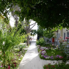 Andiz Beach Hotel фото 12