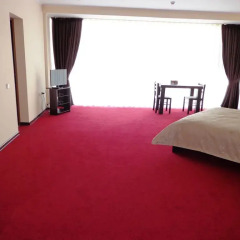 Mark Plaza Hotel 2* Стандартный номер двуспальная кровать фото 2