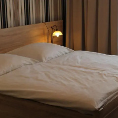 Hotel am Schloss 2* Стандартный номер разные типы кроватей фото 13