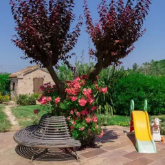 Отель Bed and Breakfast Isa Лорето фото 7