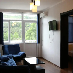Tetri Sakhli Hotel комната для гостей