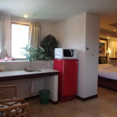 Отель Paradise Inn 3* Стандартный номер с различными типами кроватей фото 6