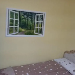 Отель Residence Art Guest House Номер Эконом разные типы кроватей фото 9