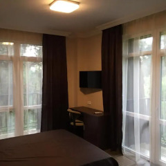 Gelendzhik Hotel 3* Люкс с различными типами кроватей фото 6