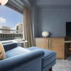 Отель New York Hilton Midtown 4* Номер Skyline с двуспальной кроватью фото 2