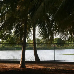 Отель Goyagala Lake Resort Номер Делюкс с различными типами кроватей фото 6