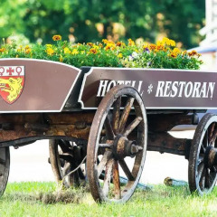 Отель Susi Hotel Эстония, Таллин - 14 отзывов об отеле, цены и фото номеров - забронировать отель Susi Hotel онлайн городской автобус