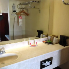 Отель Econo Lodge Vicksburg США, Виксбург - отзывы, цены и фото номеров - забронировать отель Econo Lodge Vicksburg онлайн ванная