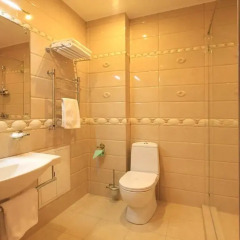 Мини-отель Таёжный 3* Стандартный номер с разными типами кроватей фото 13