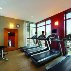 Отель Hilton Suites Chicago/Magnificent Mile фитнесс-зал фото 2