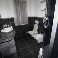 Отель Vila Zeus Албания, Тирана - отзывы, цены и фото номеров - забронировать отель Vila Zeus онлайн ванная фото 2