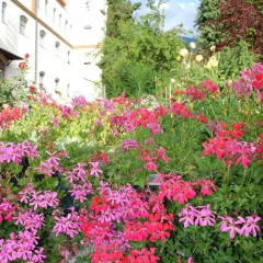 Отель Pension Salvatorianerinnen Меран фото 15
