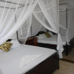 Отель Beach Haven Guest House (Mrs Wijenayake's Guest House) Шри-Ланка, Галле - отзывы, цены и фото номеров - забронировать отель Beach Haven Guest House (Mrs Wijenayake's Guest House) онлайн комната для гостей фото 2