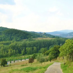 Отель Casa Al Bosco Реггелло фото 4