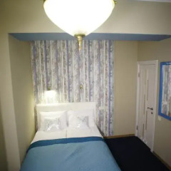 Family Residence Boutique Hotel 4* Стандартный номер с различными типами кроватей фото 17