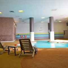 Отель Radisson Hotel Toronto East Канада, Торонто - отзывы, цены и фото номеров - забронировать отель Radisson Hotel Toronto East онлайн бассейн фото 2