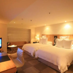Hotel Emiliano 5* Номер Делюкс с 2 отдельными кроватями фото 3