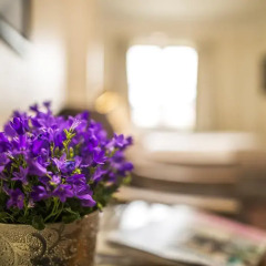TOP Molla Hotel интерьер отеля фото 2