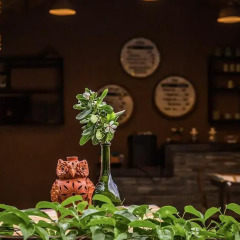 Отель Mingtang Garden Cottage 名堂花园度假屋 Непал, Покхара - отзывы, цены и фото номеров - забронировать отель Mingtang Garden Cottage 名堂花园度假屋 онлайн спа