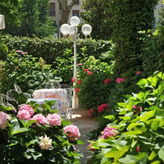 Hotel Milton Rimini Римини фото 4
