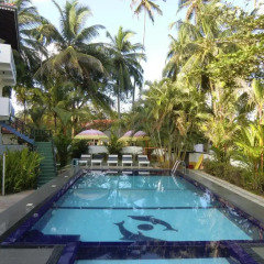 Отель The Oasis Villa Шри-Ланка, Хиккадува - отзывы, цены и фото номеров - забронировать отель The Oasis Villa онлайн бассейн фото 3