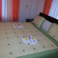 Executive Mammee Bay Hotel комната для гостей фото 3