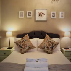 Отель The Staymor in the City комната для гостей фото 4