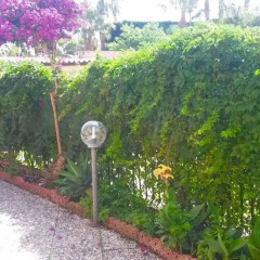 Отель Casa Soleil Джардини Наксос фото 4