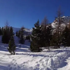 Отель Revivre Village Италия, Шампорше - отзывы, цены и фото номеров - забронировать отель Revivre Village онлайн спортивное сооружение