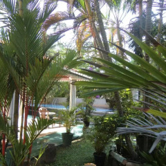 Отель The Oasis Villa Шри-Ланка, Хиккадува - отзывы, цены и фото номеров - забронировать отель The Oasis Villa онлайн фото 5