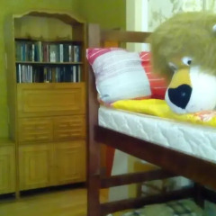 City Center Hostel детские мероприятия фото 2