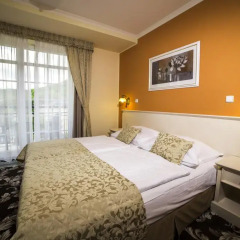 Spa Hotel Cajkovskij Palace 4* Стандартный номер фото 6