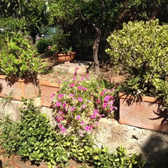 Отель Il Giardino Di Silvia Италия, Палермо - отзывы, цены и фото номеров - забронировать отель Il Giardino Di Silvia онлайн фото 2