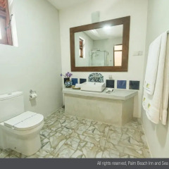 Отель Palm Beach Inn and Sea Shells Cabanas 3* Номер Делюкс с различными типами кроватей фото 18
