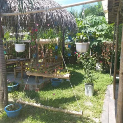 Отель Dragon Sea Homestay Хойан фото 24
