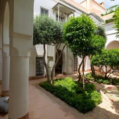 Отель Le Riad Berbere Марокко, Марракеш - отзывы, цены и фото номеров - забронировать отель Le Riad Berbere онлайн фото 4