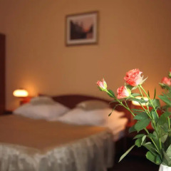 Hotel Fortuna 3* Стандартный номер с двуспальной кроватью фото 4