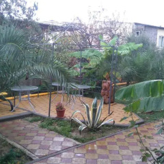 Гостиница Ariana Guest House