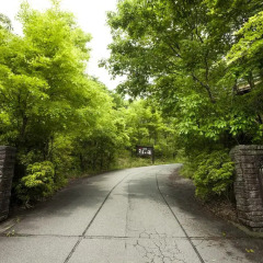 Отель Ryokan Kono-Yu Минамиогуни фото 7