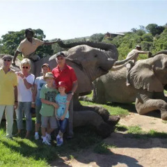 Отель Addo Elephant Back Safaris and Lodge Южная Африка, Аддо - отзывы, цены и фото номеров - забронировать отель Addo Elephant Back Safaris and Lodge онлайн детские мероприятия