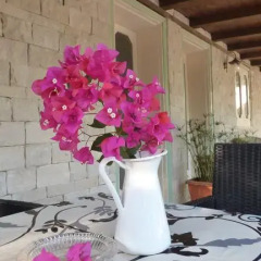 Отель La Villa Rosa al Mare Поццалло питание