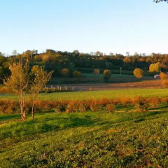Отель Agriturismo Al Torcol Монцамбано спортивное сооружение
