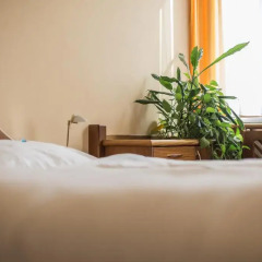 Hotel Eitljorg 4* Стандартный номер фото 5