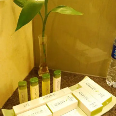 DoubleTree by Hilton Hotel Shanghai - Pudong 5* Стандартный номер с 2 отдельными кроватями фото 6