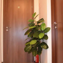 Отель Camping Motel WOK Стандартный номер с различными типами кроватей фото 14