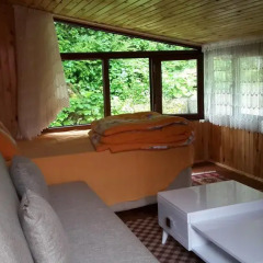 Ayder Selale Dag Evi Стандартный номер с двуспальной кроватью фото 13