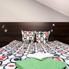 Гостевой Дом Anton House Стандартный семейный номер с двуспальной кроватью (общая ванная комната) фото 9