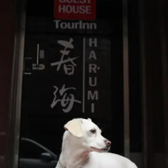 Отель Tourinn Harumi с домашними животными