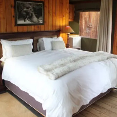 Отель Addo Elephant Lodge & Safaris Улучшенный люкс с различными типами кроватей фото 7